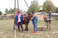 powiększ zdjęcie